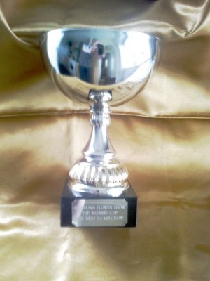 The Morris Cup first prize trophy awarded to The Friends of the Sca...